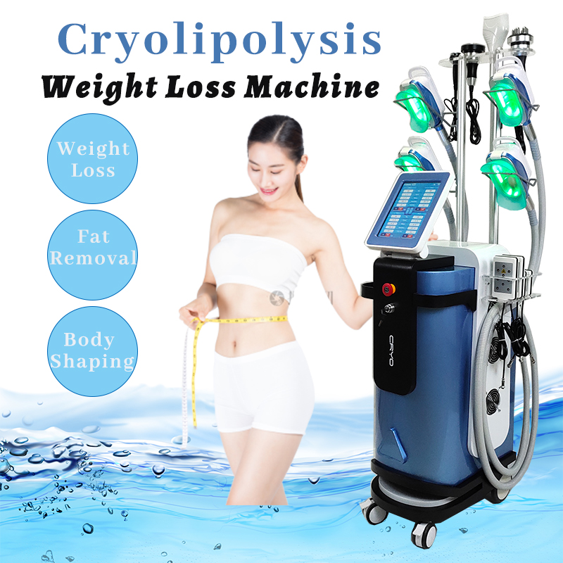 

Cryolipolysis Machine Slimming 5 Cryo Heads Buttock Weight Loss Fat Freezing Cavitation Vertical Equipment Rf Skin Tightening