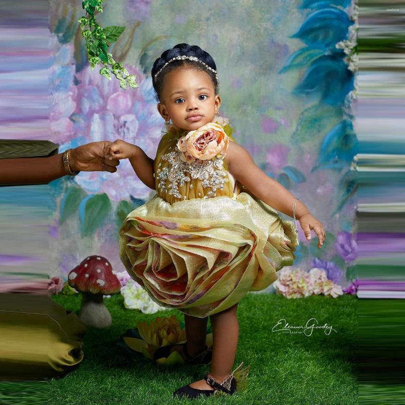 

Girl Dresses Lovely Gold Ball Gown Flower Girls Knee Length Organza Extra Puffy Ruffles Kids Pageant Wedding Party Crystals, Silver