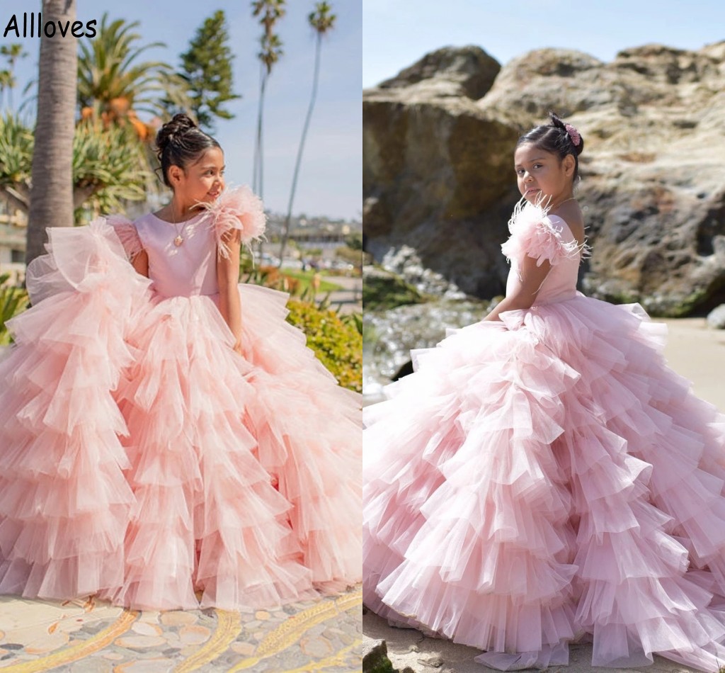 

Pink Ruffles Flower Girl Dresses For Wedding Party Gorgeous Furs Toddler Little Girl's Pageant Birthday Princess Ball Gown Kids Infant First Communion Dress CL1448, Chocolate