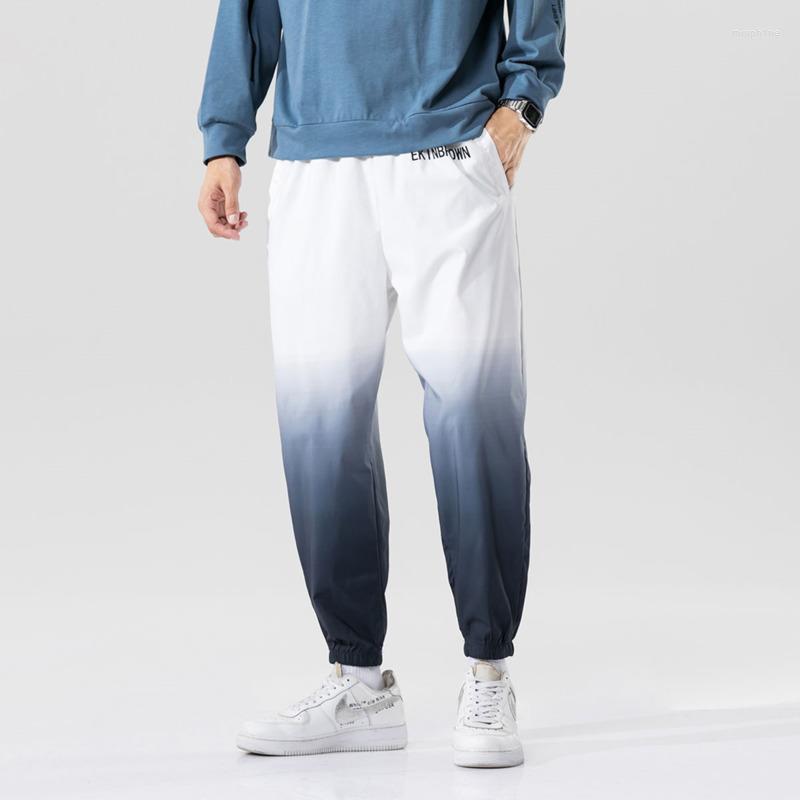 

Men's Pants Summer Thin Casual Men Fashion Gradient Harem Streetwear Loose Straight Mens Joggers Trousers Sweatpants, Blue
