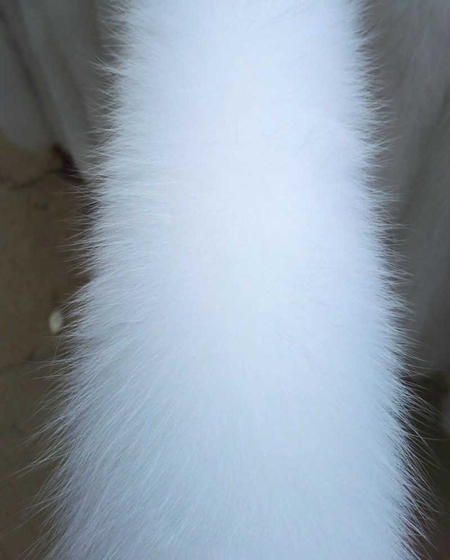 

2021 Winter New Fox Fur Collar Cotton Clothing Accessories White Fox Tail Real Fur Collar Hat H09237146149