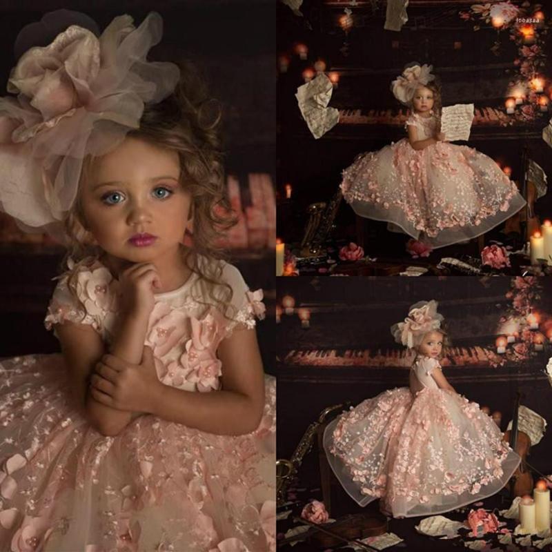 

Girl Dresses Toddler Girl's Pageant Beaded 3D Applique Short Sleeves Birthday Party Formal Gowns Backless Baby Flower Girls Dress, Champagne