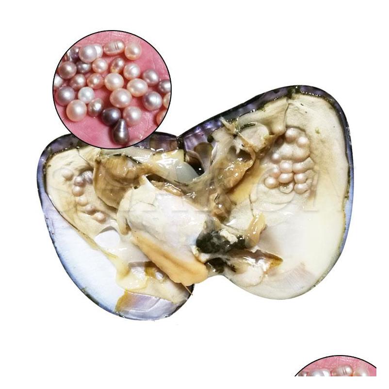 

Pearl Wholesale About 25 Pcs Natural Freshwater Whole Pearls Oyster Mixed Color Pearl Vacuum Packaging Shells Drop Delivery Jewelry Dhjyg