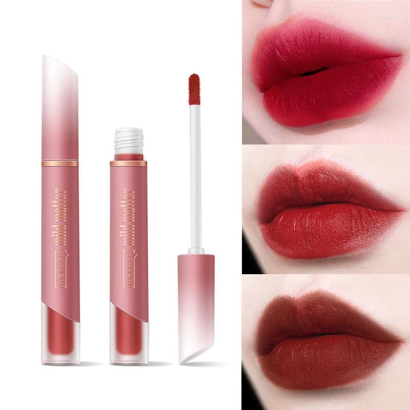 

Lip Gloss Intense Color Matte Finish Tint Colour Lasting Comfort Velvet Liquid Lipstick Lips Makeup Cosmetics TSLM1, 05
