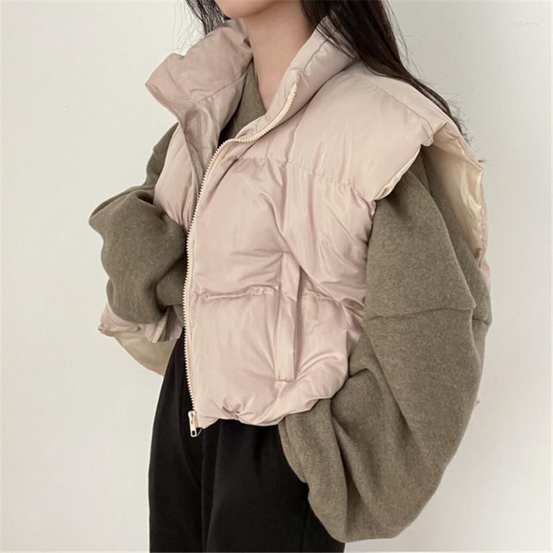 

Women's Down HziriP Winter Waistcoat Women Thicken Short Parkas Stand Collar Loose Casual Coat 2022 Outerwear Sleeveless Vest Jacket Tops, Gray