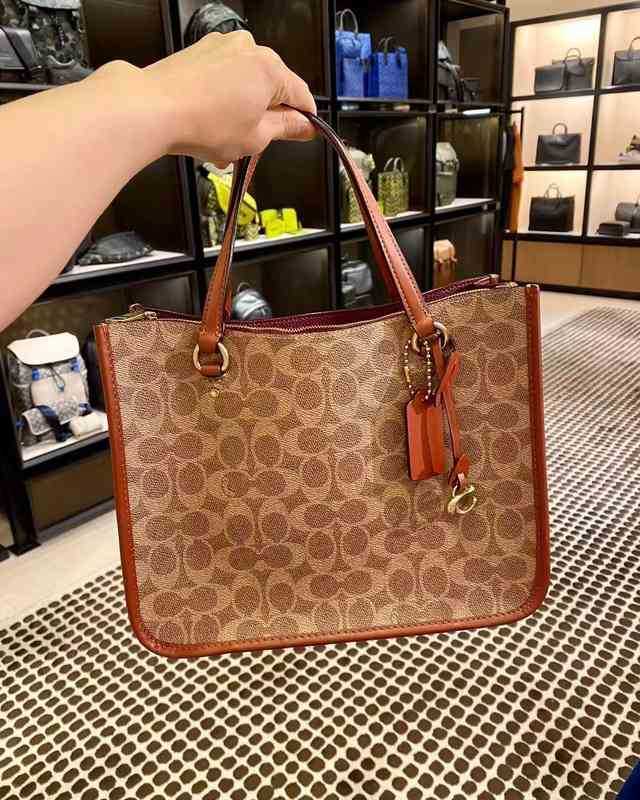 Luxes Designers Femmes Coch Sac Cochs Crossbodybodbag Hands Handspur Totes Bags CC Designer Hands sacs fourre-tout portefeuille D77T