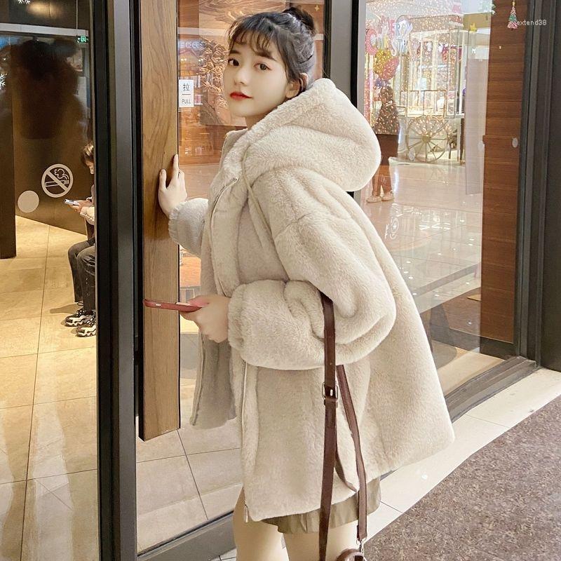 

Women' Fur Lady 2022 Winter Elegant Coats Women Fashion Faux Coat Female Reccoon Dog Thick Warm Solid Jackets F49, Apricot