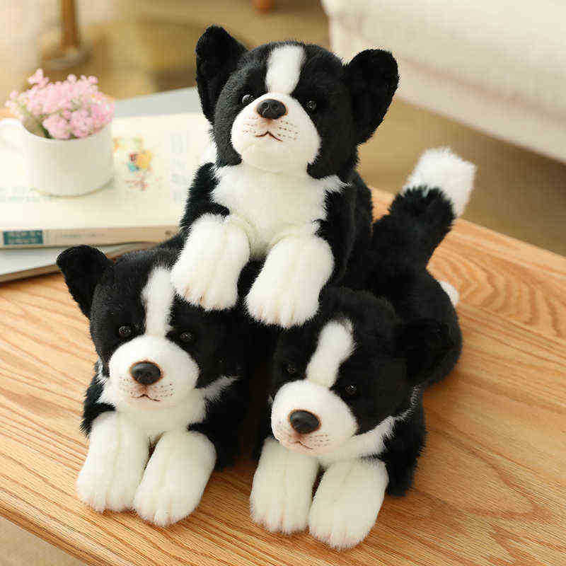

Simulation Border Collie Dog Cuddly Toy Super High Quality Hound Toy For Luxury Home Decor Pet Lover Birthday gift J220729, Black