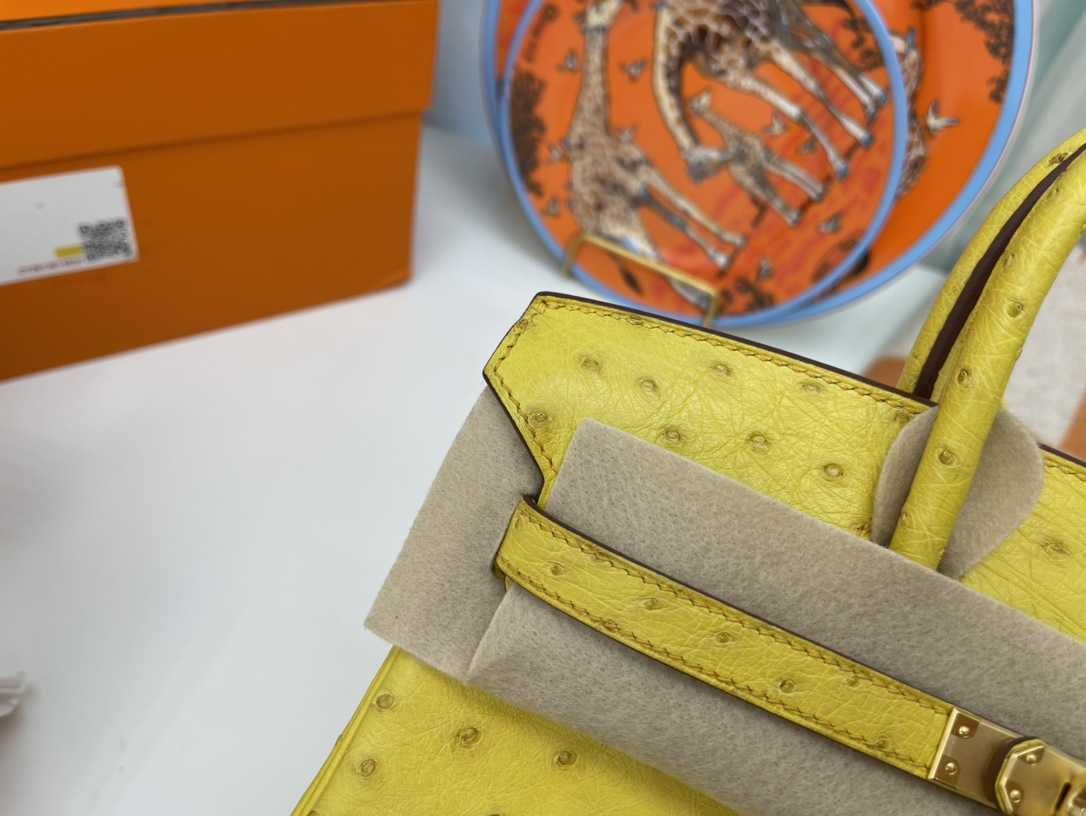 

Designer Bags Hem Handbags Women Cluth Fashion Home Handmade Wax Thread Sewing South African Ostrich Skin Lemon Buckle Handheld Women's Togo, Lemon gold button