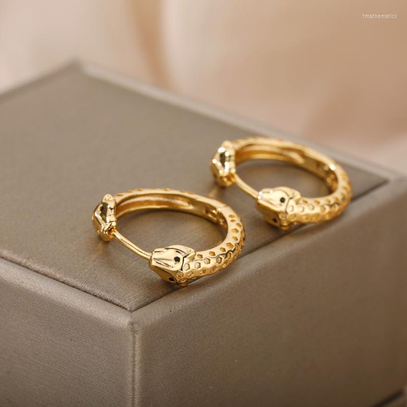

Hoop Earrings & Huggie Vintage Snake For Women Stainless Steel Gold Color Punk Animal 2022 Trend Party Wedding Jewerly FemmeHoop