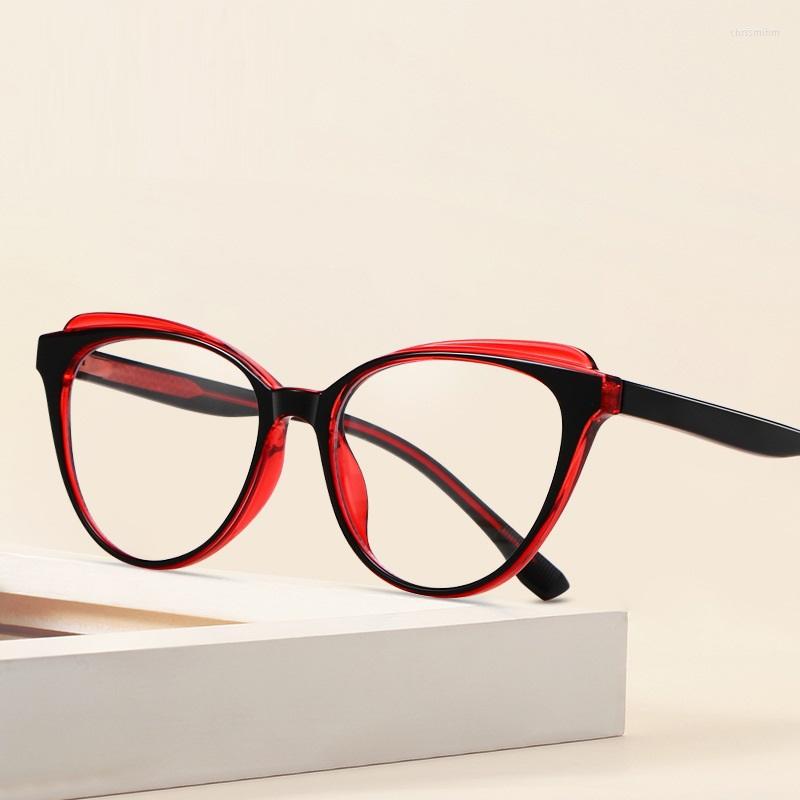 

Sunglasses European And American Fashion Flat Lens Ladies Anti-blue Light Glasses TR Frame Pin Spring Leg Full