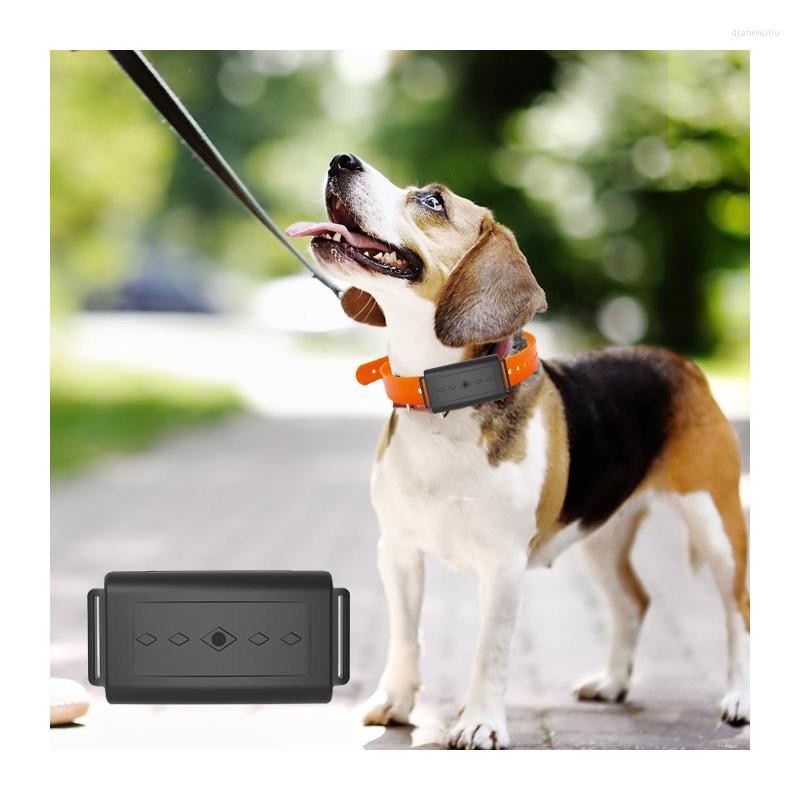 

Car GPS & Accessories Wholesale 4G Tracking Device Mini Dog Collar Real Time Tracker China Accurate