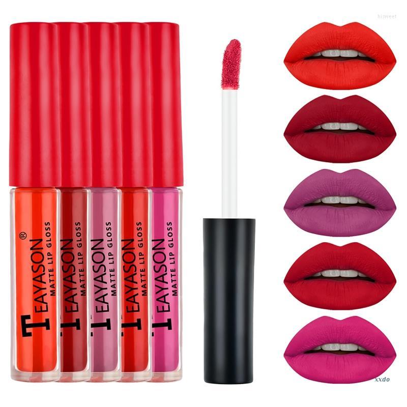 

Lip Gloss Matte Velvet Lipstick 5 Colors Nonstick Cup Glaze Smudge Proof Long-lasting Makeup Waterproof Moisturizing
