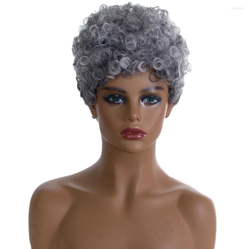 

Synthetic Wigs Short Hair Kinky Curly Wig For Women Gray Cosplay Daily Use, Gray-4