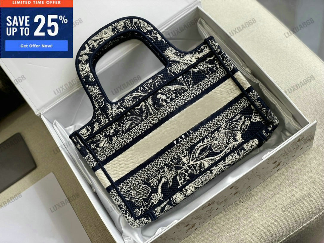 

Multicolor Mini Book Tote Bag Women's Blue Oblique Embroidery Handbag Dots Embroidered Canvas Handle Bag Obliques Purse, 01