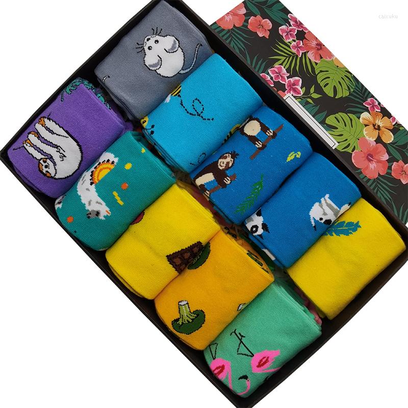 

Men's Socks 10 Pairs/Pack Fashion Funny For Men & Women Fun Crazy Colorful Cool Novelty Cute Animal Casual Cotton Happy Dress, 10 pairs of packages