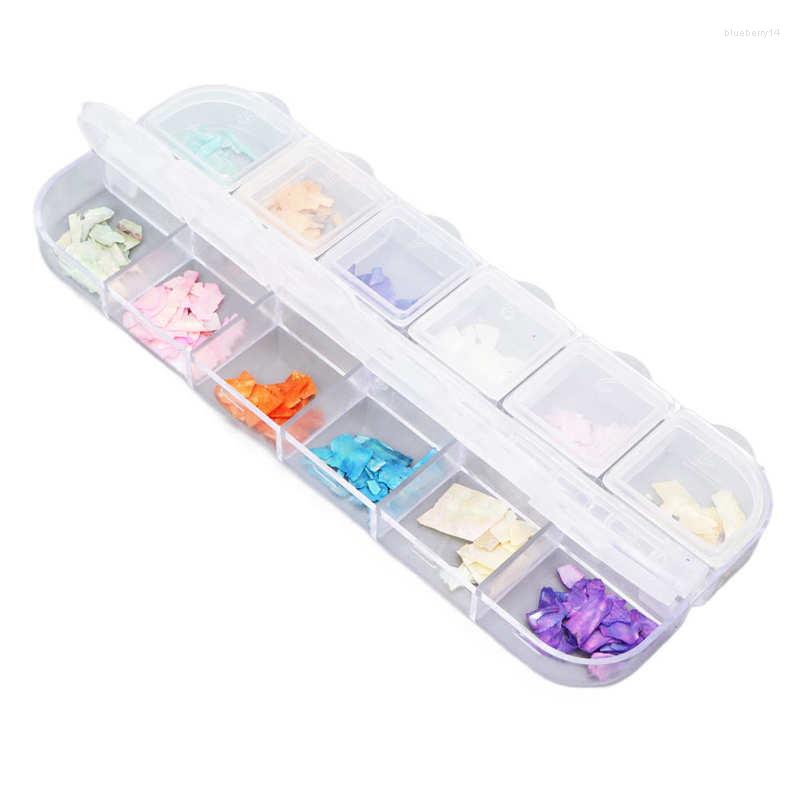 

Nail Gel Irregular Seashell Slices Flakes 12 Grids For DIY Decorations, Picture shown