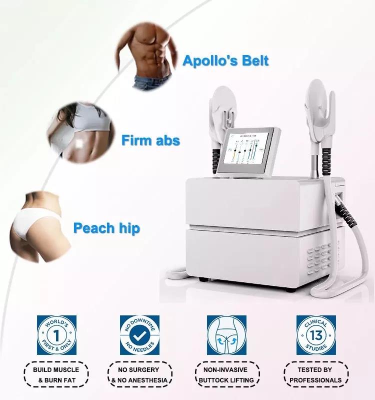 

High-Intensity Electro-Magnetic emsSlim Beauty Machine Shape Weight Loss Muscle Stimulate Machine