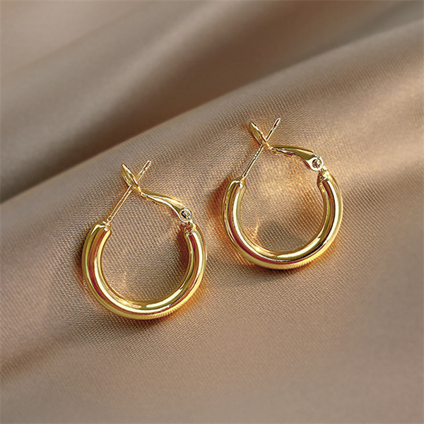 

European and American fashion temperament Hoop Huggie female 2022 new niche design premium ear ring AC268