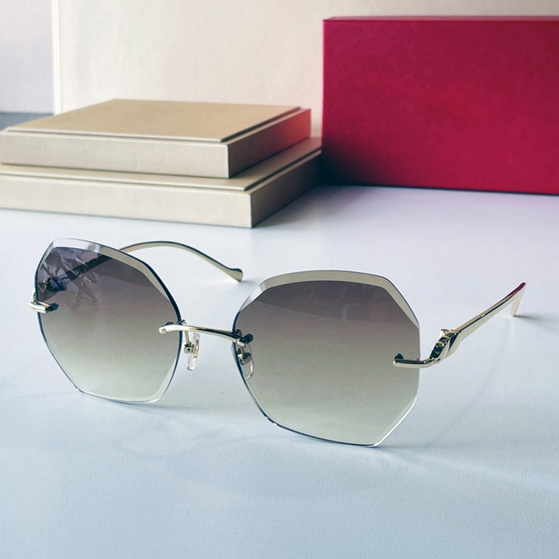 Womens Designer Sunglasses Polarized UV Protection Retro Vintage Man Glasses Shiny Frame Leopard Attitude Rimless Man Oval Lunettes Luxe Femme So-image-809017036
