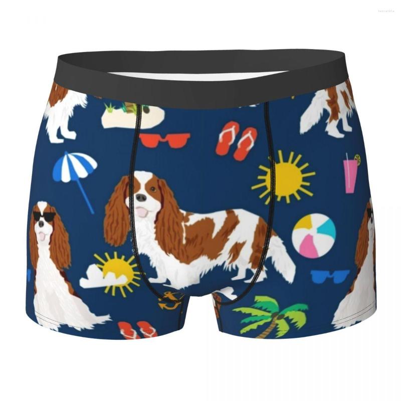 

Underpants Tropical Vacation Sunshine Underwear Beach Day Men Boxer Brief Cute Shorts Trenky Customs Oversize Panties, 12