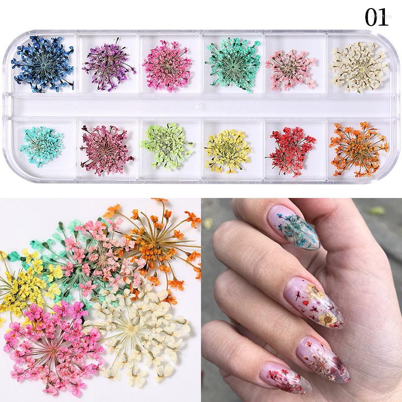 

Nail Art Decorations 12 Style Dried Flowers Natural Floral Sunflower Daisy Stickers 3D Designs Polish Manicure Accessories
