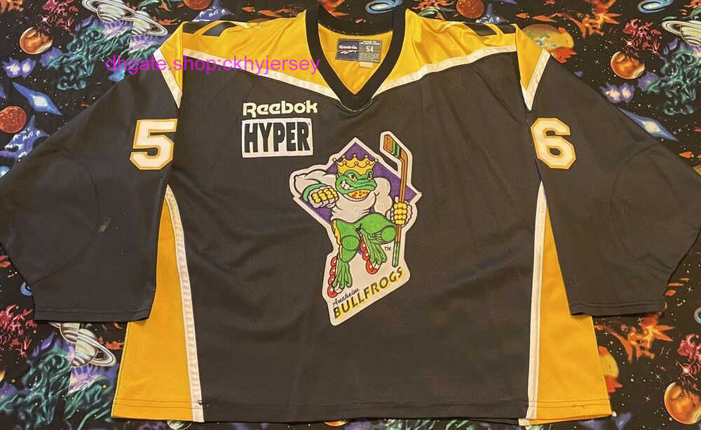 

New Jerseys Rare Cheap Stitched Retro RHI 1996 Anaheim Bullfrogs Darren Banks Hockey Jersey Mens Kids Throwback Jerseys, Same as picture