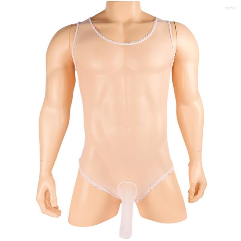 

Men's G Strings Transparent Stocking Bodysuit Mens Sheer Leotard Jumpsuit One-Piece Wrestling Singlet Gay Erotic Lingerie Penis Sheath, Black