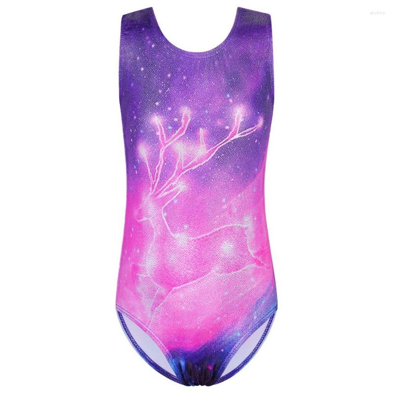 

Stage Wear BAOHULU Sparkle Leotard Girls Sleeveless O-neck Elk Print Decor Dance Costume Practice Show Rhythmic Gymnastic For, B198 navybutterfly