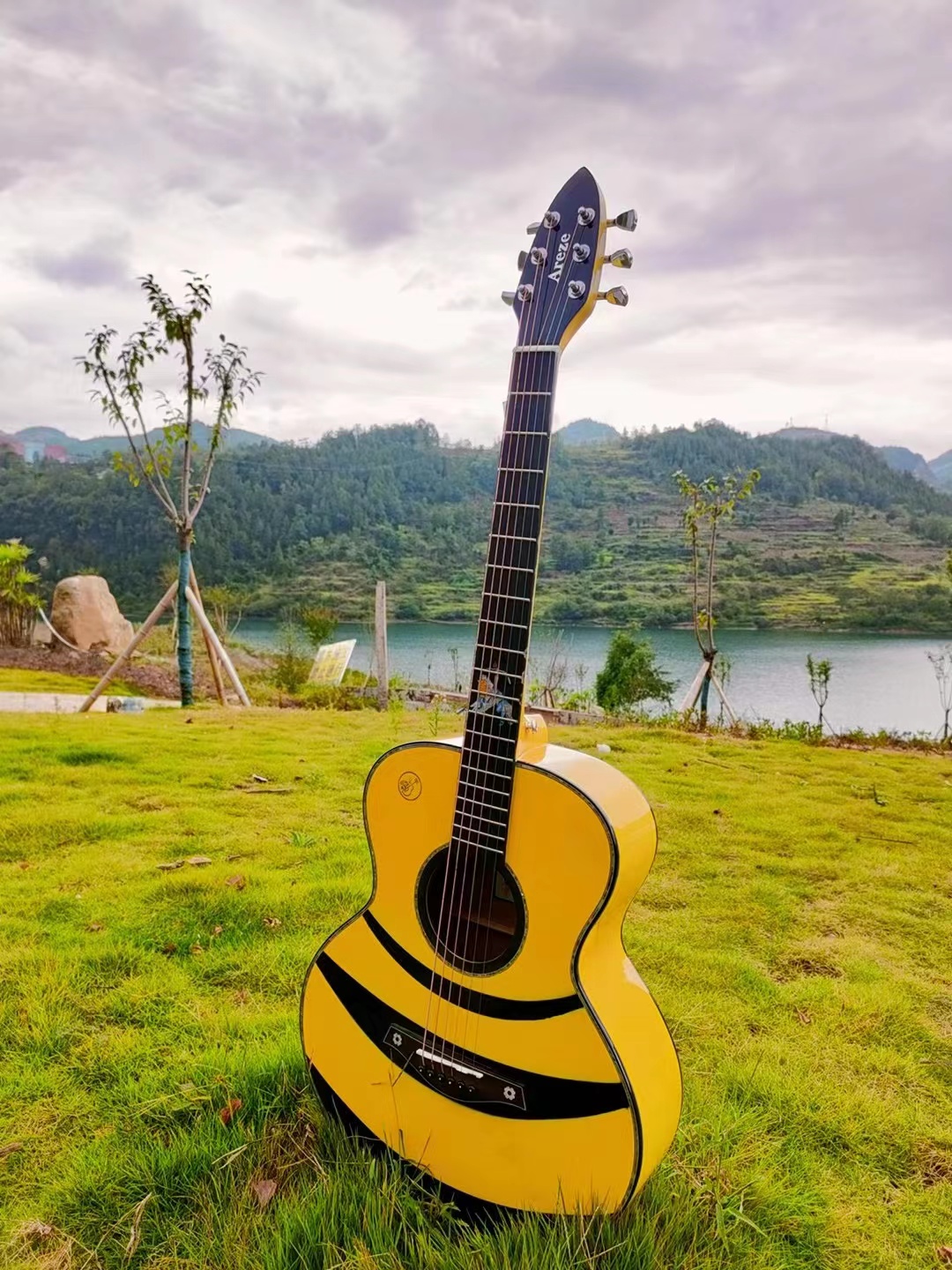 

Areze Bumblebee Acoustic Wood Guitar D-type Spruce Veneer Side Back Peach Heart