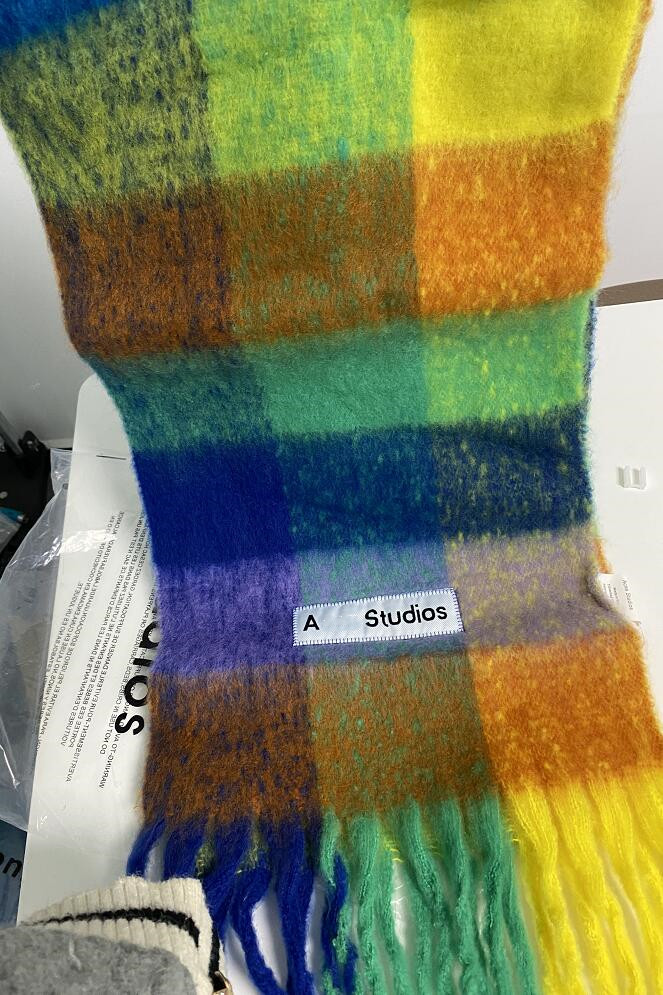 

2022 Sacrf Brand Cashmere Winter Scarf Scarves Designer Acne Blanket Scarves Women Type Colour Chequered Tassel Imitated