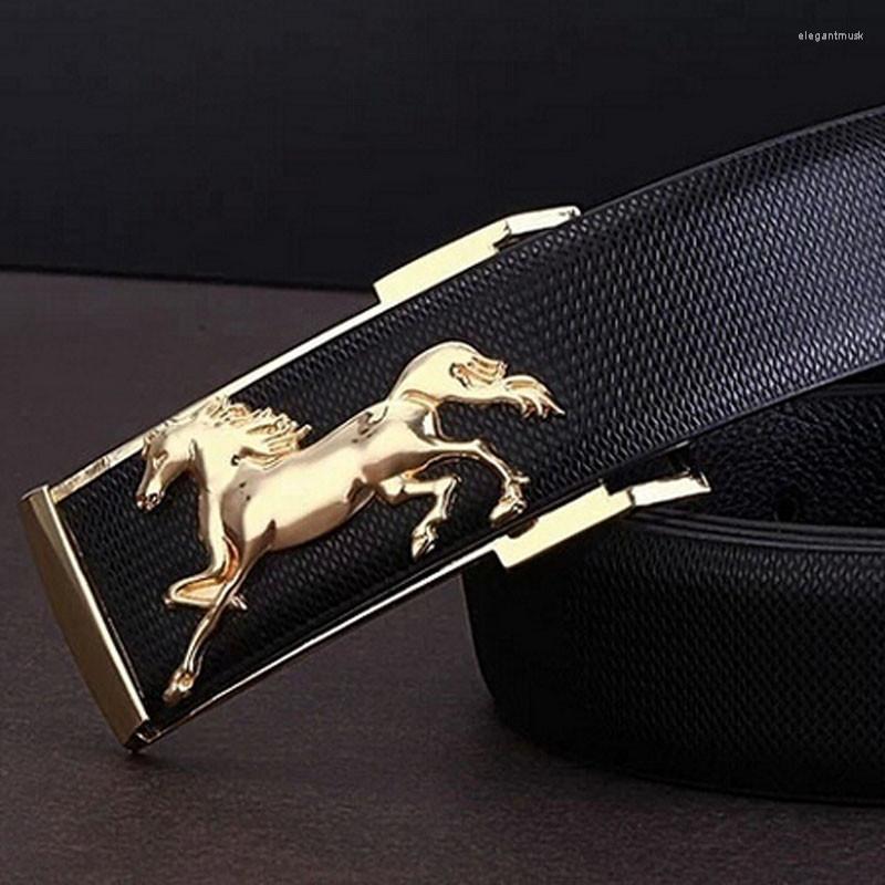 

Belts Horse Metal Leisure Business Men's Strap Buckles Gold Belt Leather, Black