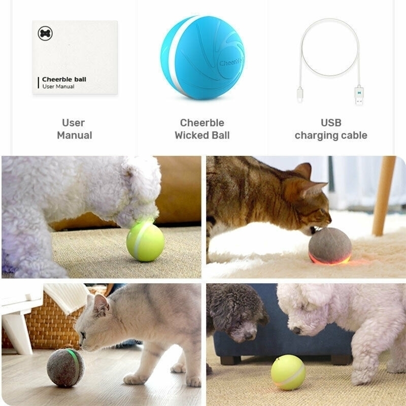 

Wicked Ball New Design Pet Dog Cat Toy Interactive Toy Electric Companion US HOT Y200330
