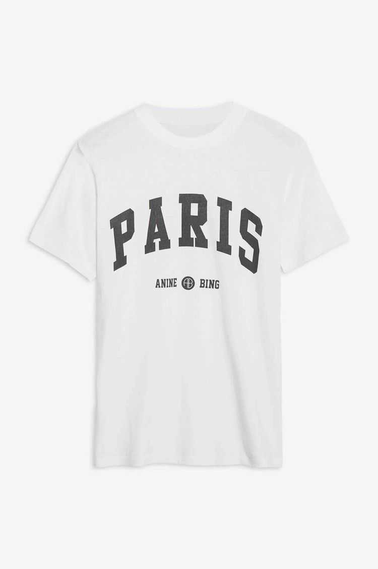 

23SS Anine Bing Women Fashion Classic Cotton Tee Ab New Classic Letter Print Sleeve Embroidery Cotton Short Sleeve T-shirt Tees Tops, New york flower ash