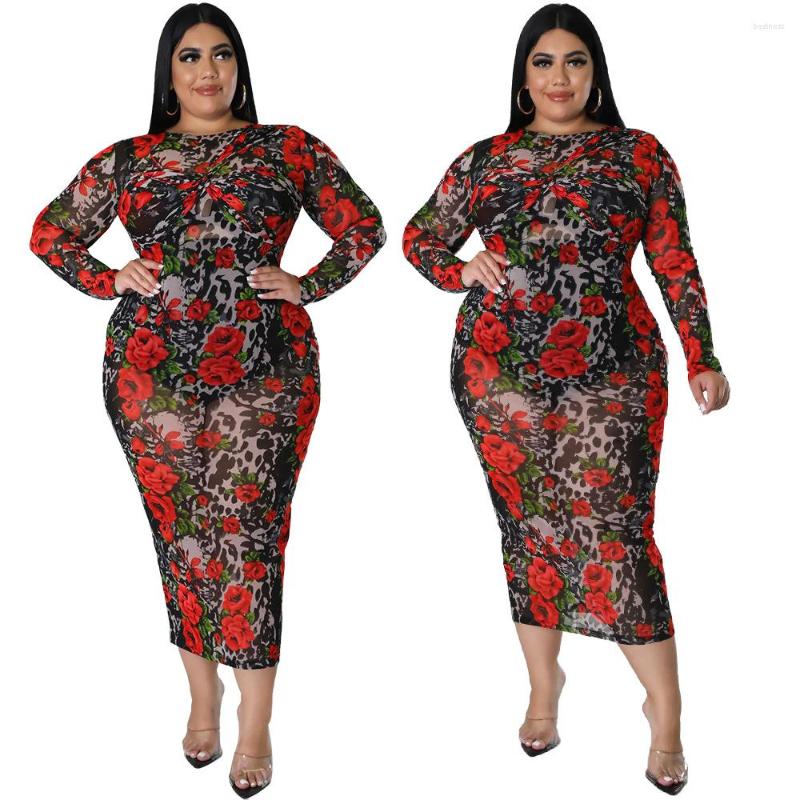 

Casual Dresses Autumn Stretchy Mesh Bodycon 2022 Arrival Big Size Long Sleeves Floral Printing Round Neck Party Dress, Multi
