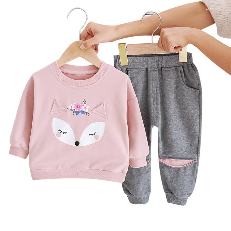 

Clothing Sets Spring And Autumn Girls Cartoon Print Long Sleeve Sports Suit Girl Baby Cotton Casual Wear Vestidos De Fiesta, Picture shown