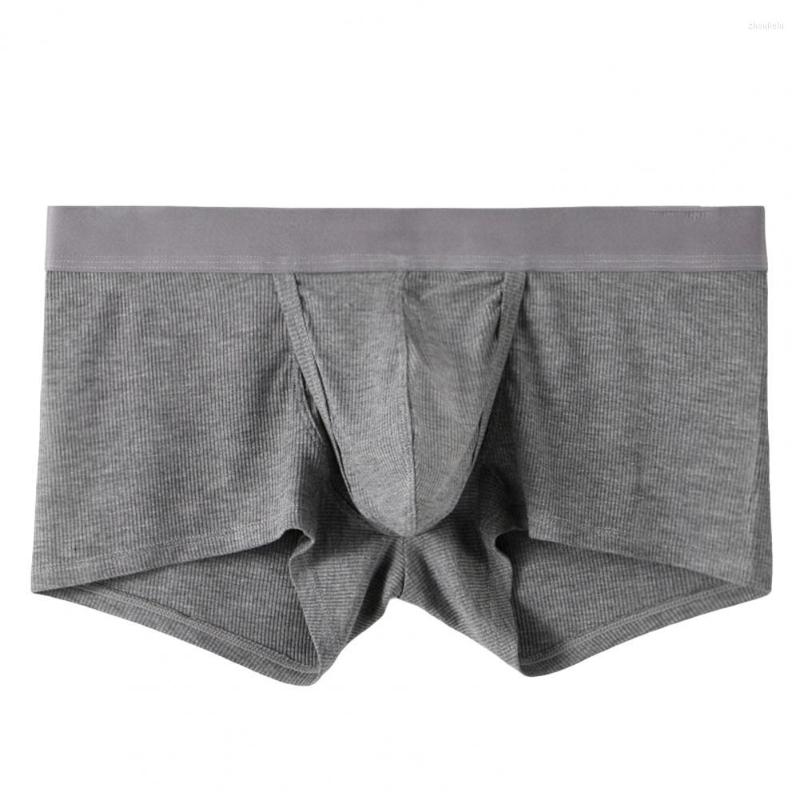 

Underpants Stylish Male Underwear Sexy Super Stretch Large Space Panties Stretchy Close Fit Men For Living Room, Black