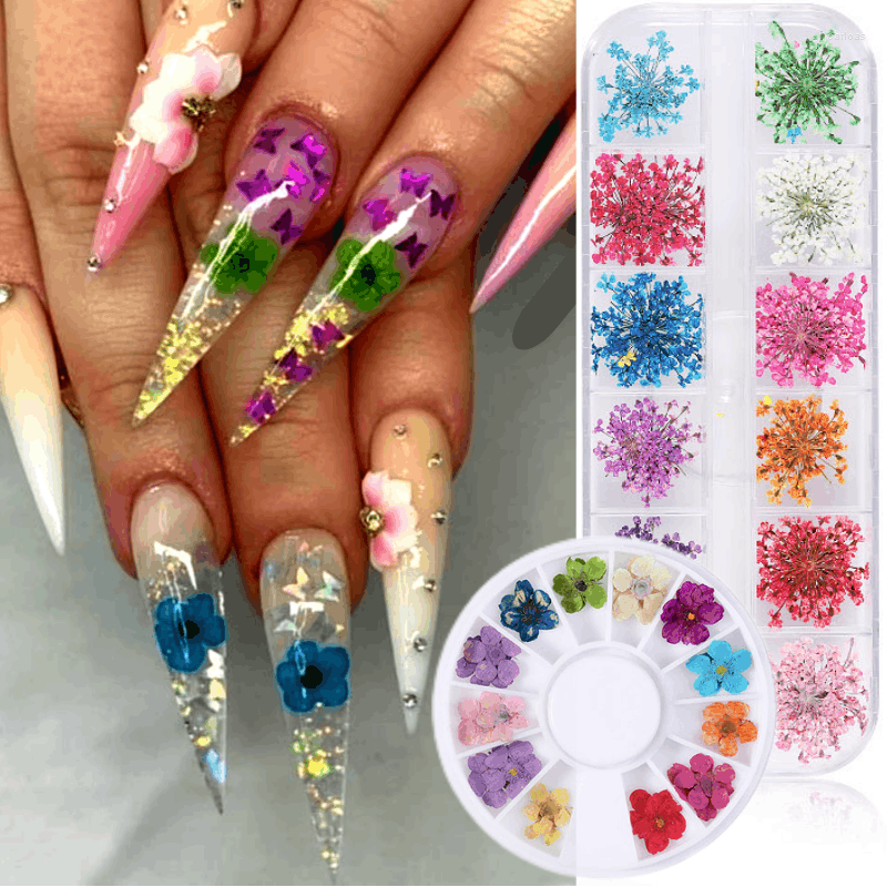 

Nail Art Decorations 1 Set Natural Floral Mixed Color Decal Jewelry Dried Flower Accessories For DIY Manicure Design