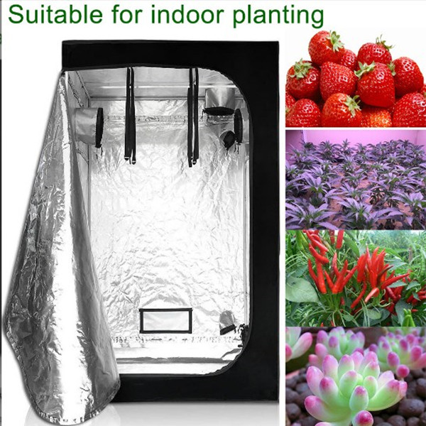 

Grow Lights Tent For Green House Flowering Indoor Plants Flower Hydroponics
