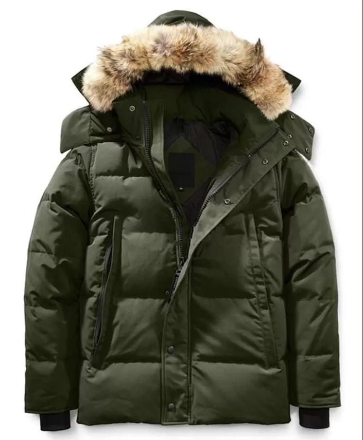 

women' Winter down jackets parka coat hoodie with real wolf fur Holder jacket zipper Windproof and waterproof warm coats women outdoor, Photo style and color