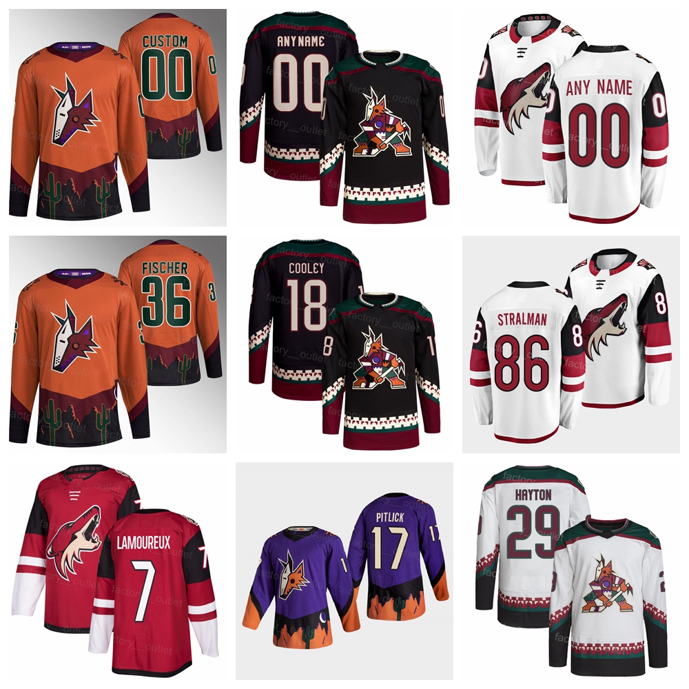 

Arizona Hockey Coyotes Reverse Retro 16 Andrew Ladd Jersey 70 Karel Vejmelka 17 Alex Galchenyuk 18 Logan Cooley 7 Maveric Lamoureux 29 Barrett Hayton Anton Stralman, White