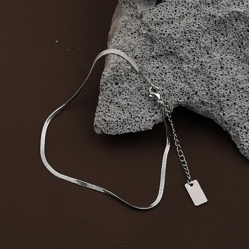 

Anklets Fashion Metal Silver Flat Snake Bone Chain Women Summer Beach Double Layer Crystal Girl Foot Jewelry Accessories