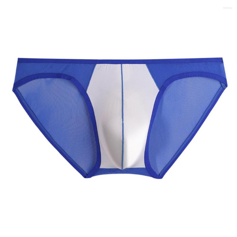 

Underpants Men's Panties Mesh Underwear Sexy Briefs See Through Thong Comfortable G-String Low Waist Tow Colors Lingerie, Black