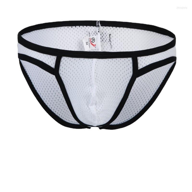 

Underpants Men's Underwear Sexy Mesh Briefs Gay For Men Sissy Panties, Color-3