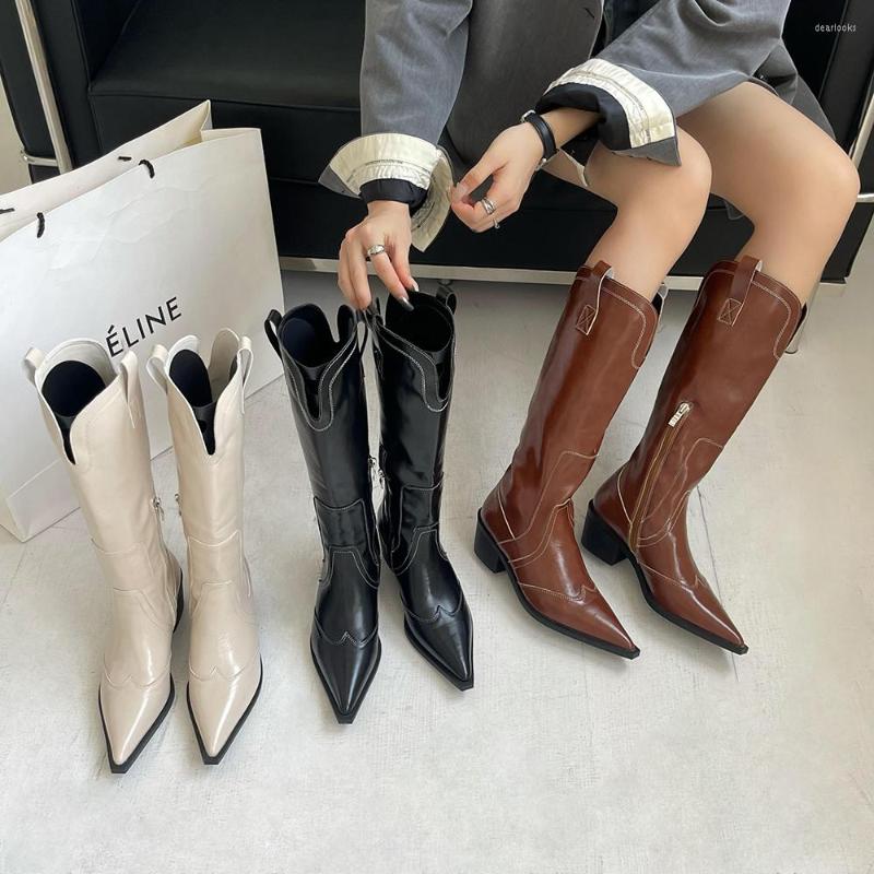 

Boots Pointed Toe Women Knee High Western Knight Black Beige Brown Side Zipper Thick Flat Mid Heels Winter Party Pumps