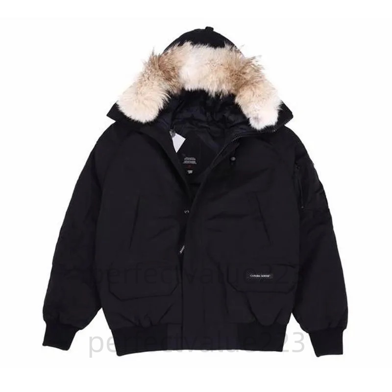 Designer Coats Winter Canadian Chili wack Pilot Jacket Designer Men Women Down Parkas Homme Outerwear Coats 33s-image-946183007