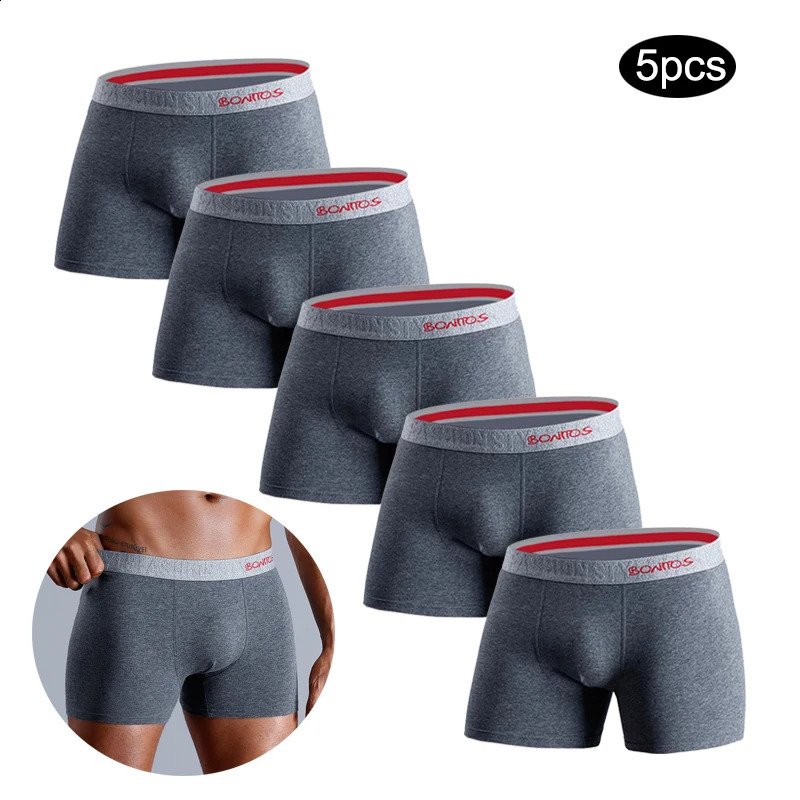 5pcs sexy underwear for man cotton underpants men 2025 boxer shorts gifts boxers for man Mens panties pack homme calecon250919