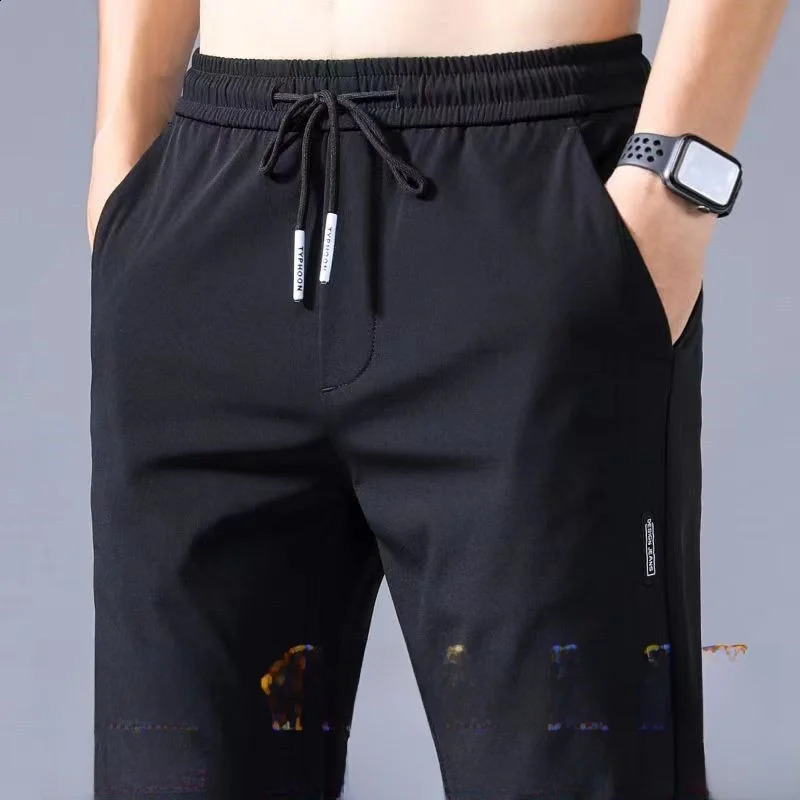Summer Thin Casual Pants Qui Dry Loose Large Size Straight Leg Elastic Wear Resistant Sports Ice Silk Long Trousers for Men 250919
