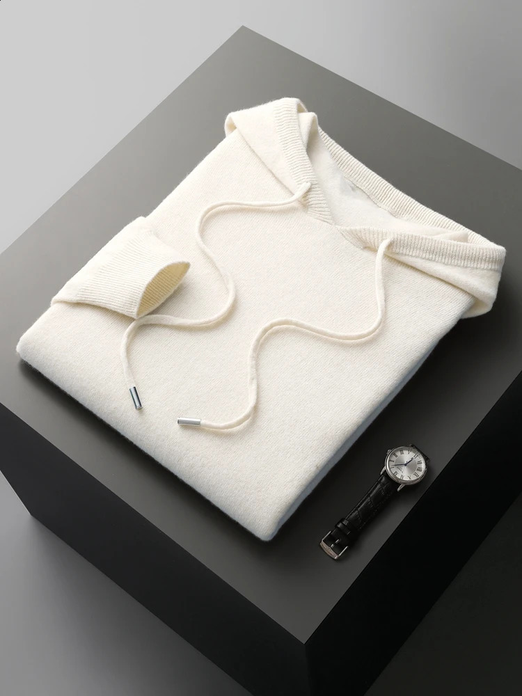 Hommes Paulures Hooded Pull de laine d'hiver automne classiques décontractés Cashmere 100 Tricots Merino Clothing Clothing Tops 250920