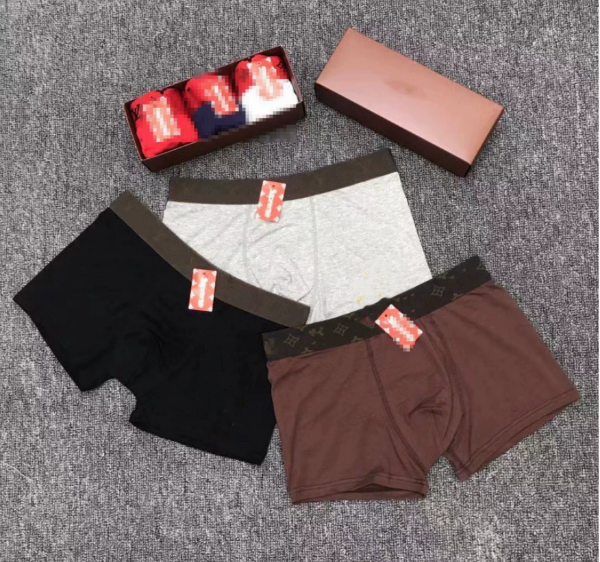 3 PCS Designers Mens Boxer Brand de luxe Box Boxer Men Sous-pants Mémoire pour l'homme Coton Underpanties Sexy Underwear Mens Boxers Coton Shorts